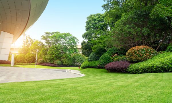 Commercial Shrub Trimming in New Lenox