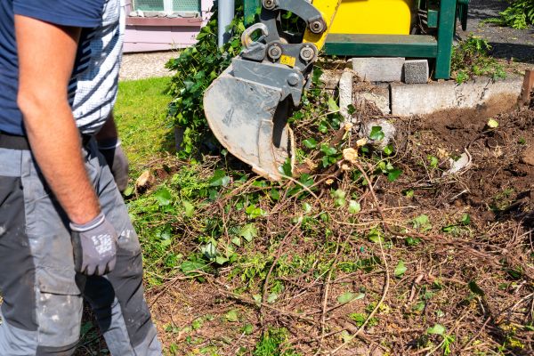 Hedge Removal Service in New Lenox