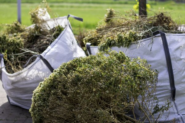 Cost of Shrubs Removal in New Lenox