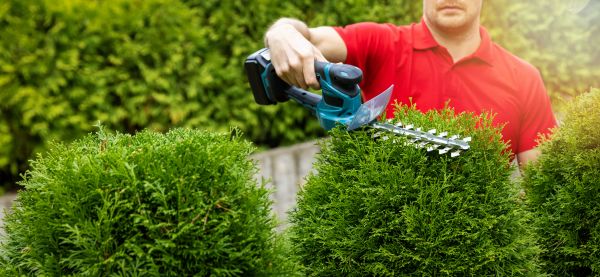 Hedge Shaping Service in New Lenox
