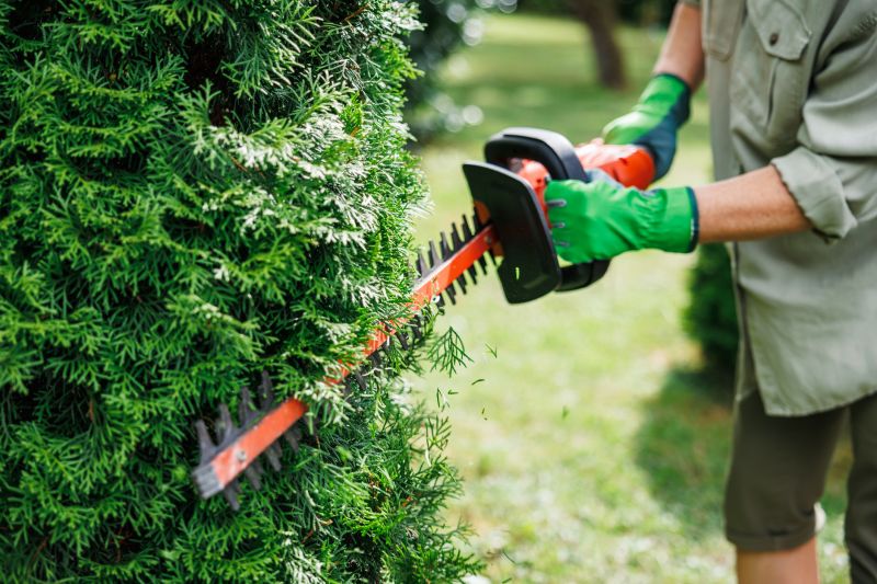 Hedge Shaping Service